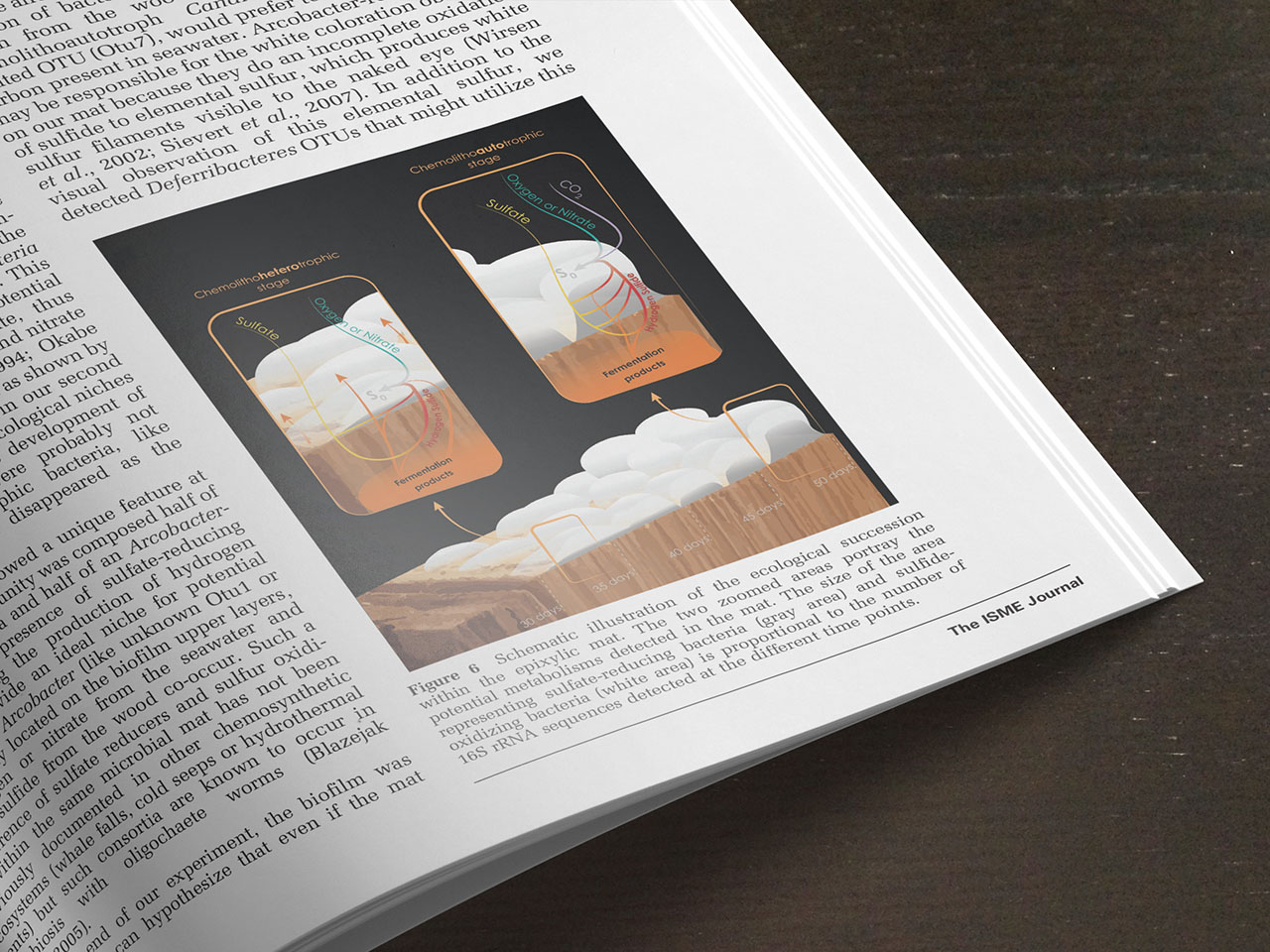 Illustration d'article scientifique