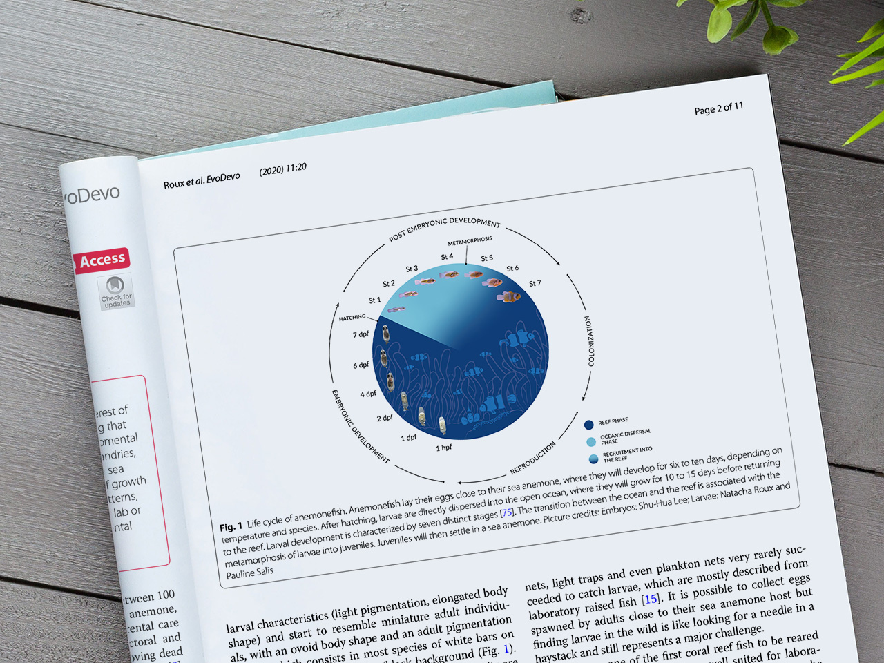 Illustration d'article scientifique