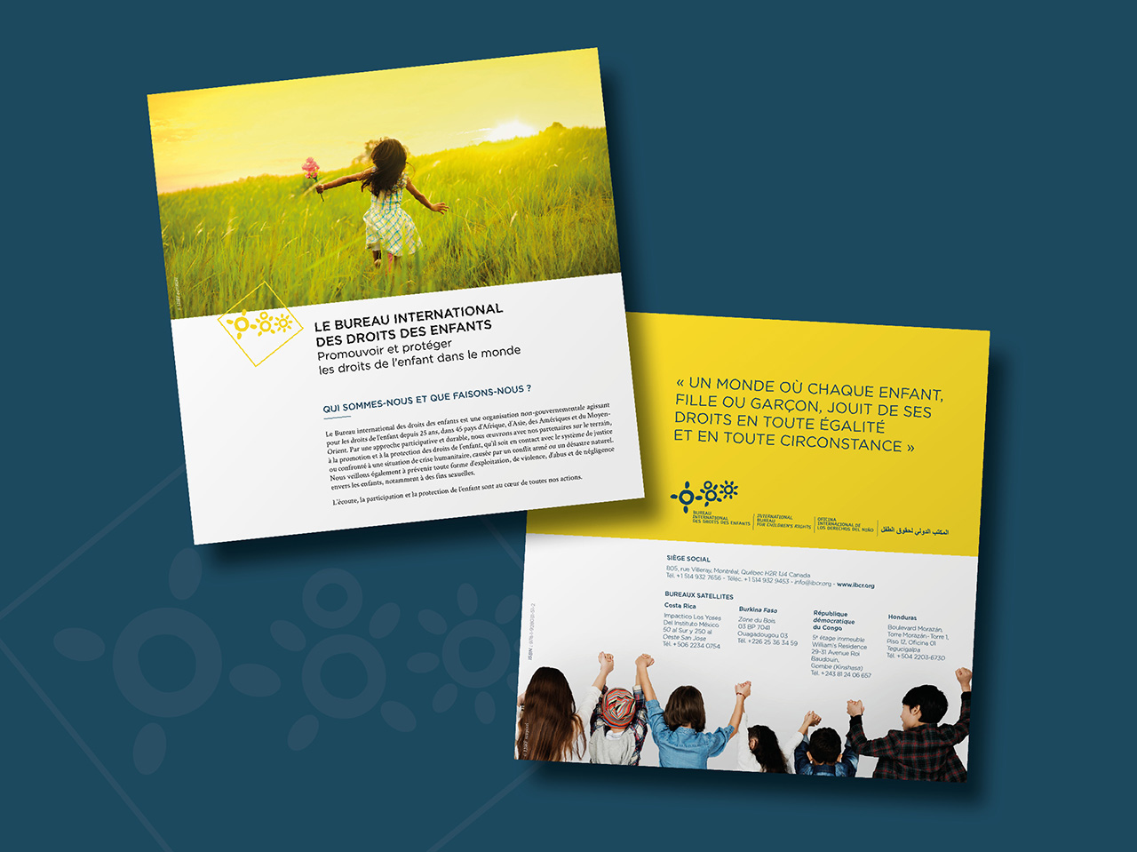 Brochure de présentation de l'IBCR