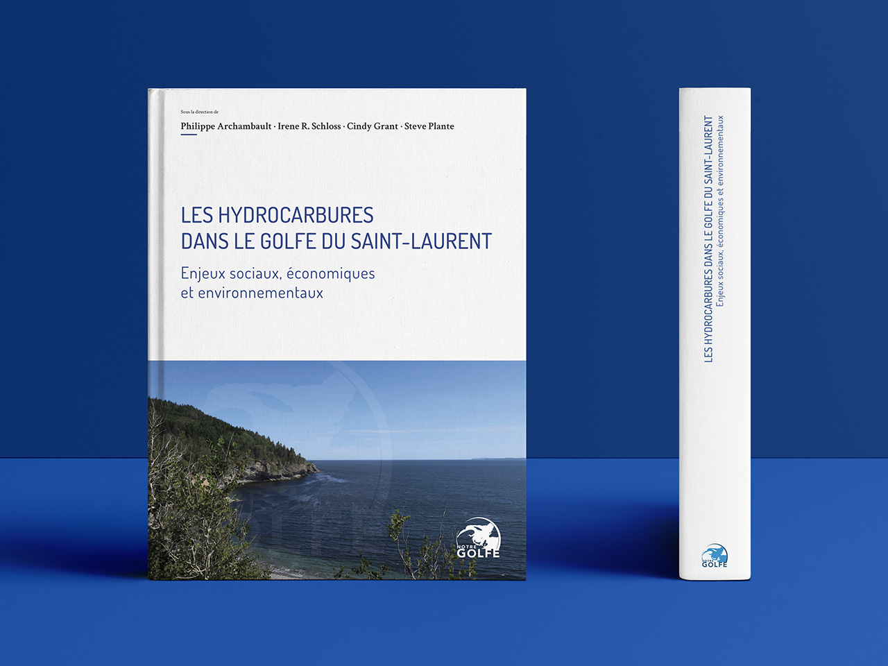 Couverture du livre Les hydrocarbures dans le Golfe du St-Laurent